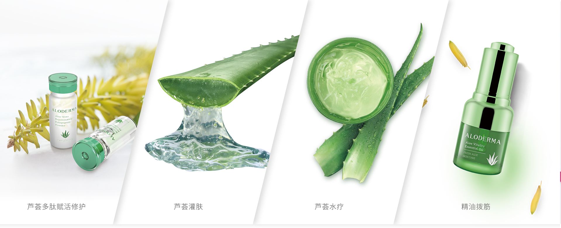 护理1